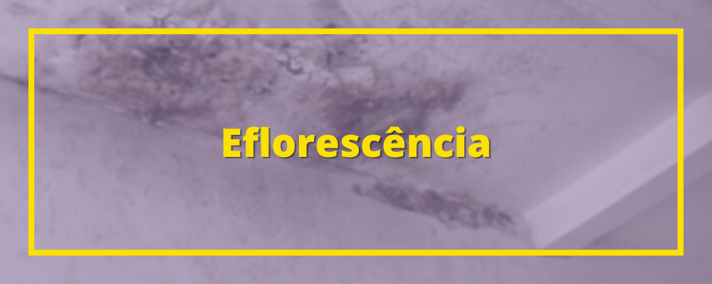 Capa do site