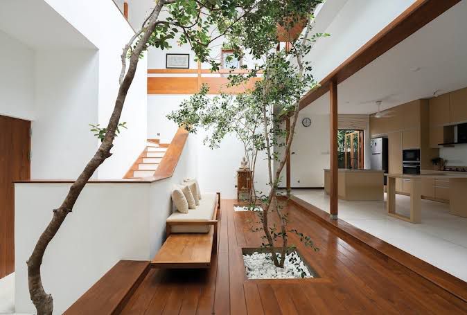 Ambiente aconchegante com plantas e luz natural